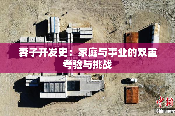 妻子开发史：家庭与事业的双重考验与挑战