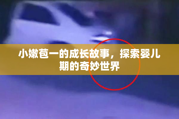 小嫩苞一的成长故事，探索婴儿期的奇妙世界