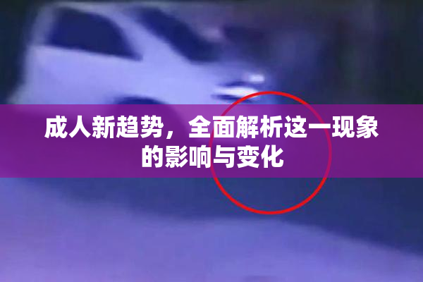成人新趋势，全面解析这一现象的影响与变化