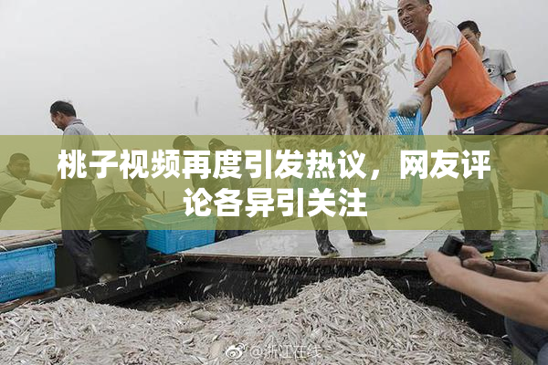 桃子视频再度引发热议，网友评论各异引关注
