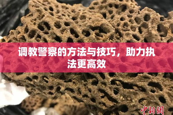调教警察的方法与技巧，助力执法更高效