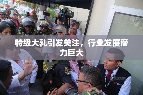 特级大乳引发关注，行业发展潜力巨大