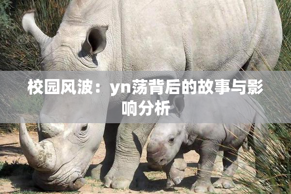 校园风波：yn荡背后的故事与影响分析