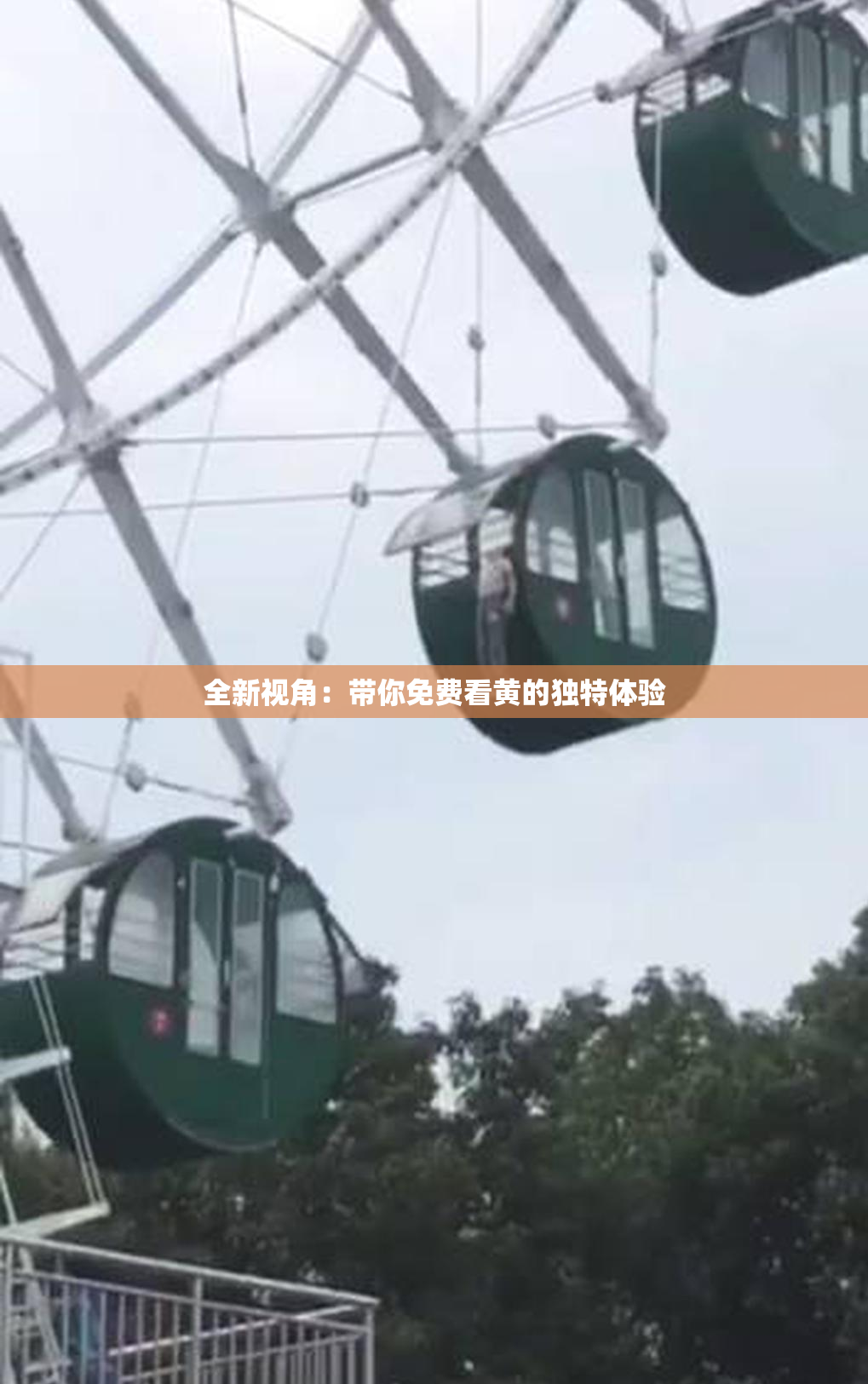全新视角：带你免费看黄的独特体验