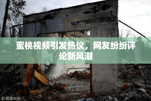 蜜桃视频引发热议，网友纷纷评论新风潮
