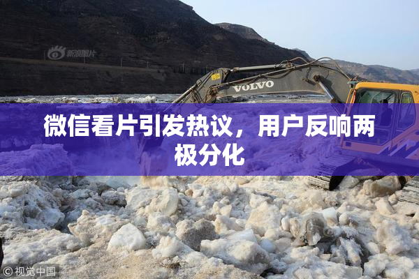 微信看片引发热议，用户反响两极分化