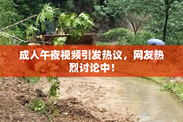 成人午夜视频引发热议，网友热烈讨论中！