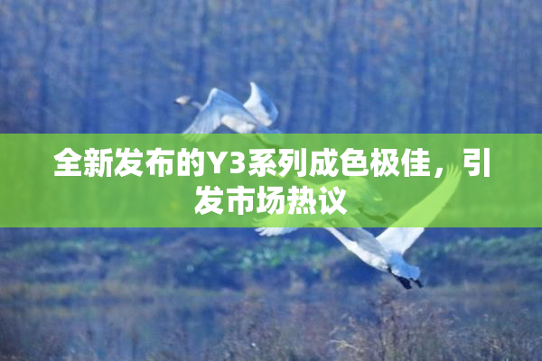 全新发布的Y3系列成色极佳，引发市场热议
