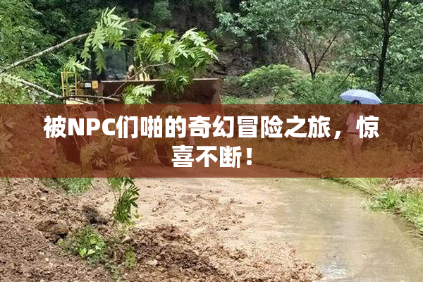 被NPC们啪的奇幻冒险之旅，惊喜不断！