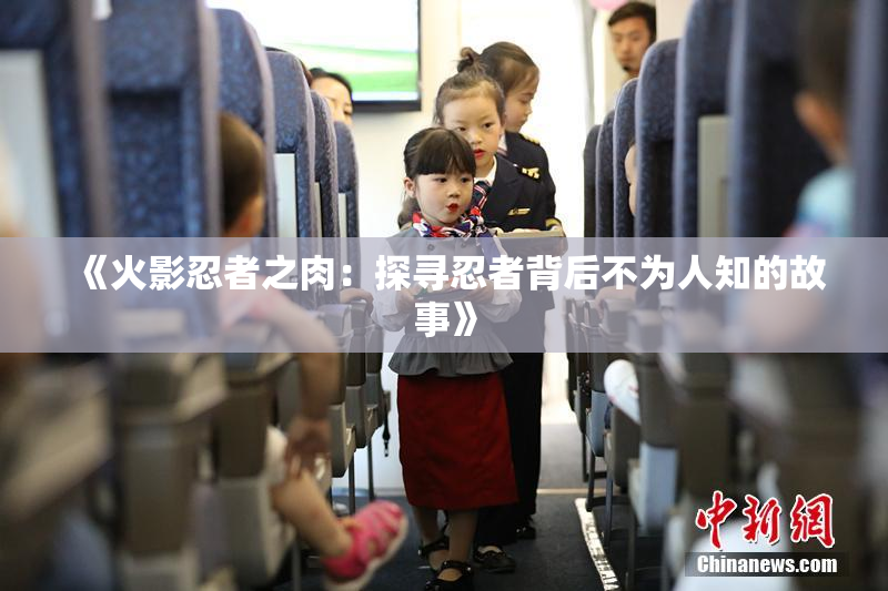 《火影忍者之肉：探寻忍者背后不为人知的故事》