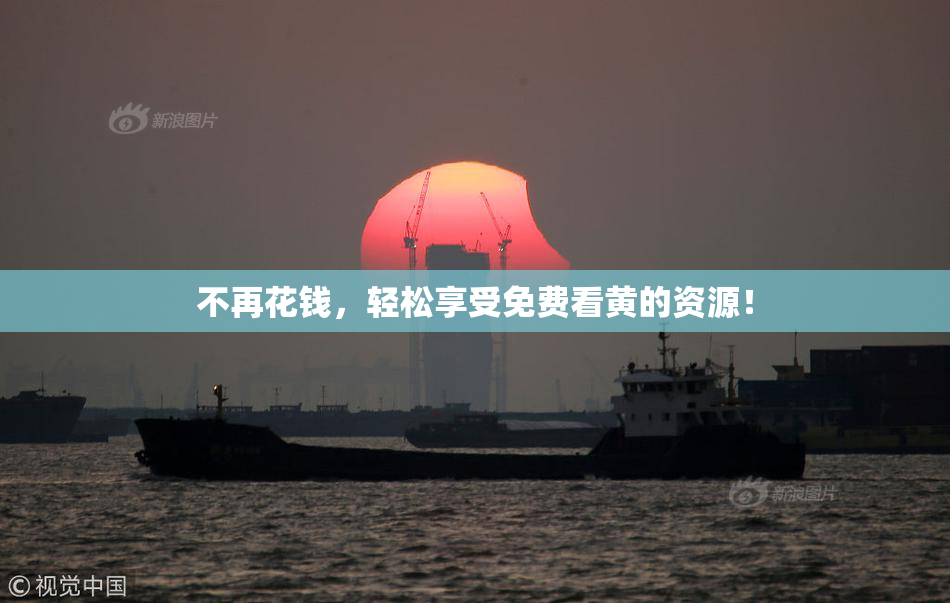 不再花钱，轻松享受免费看黄的资源！