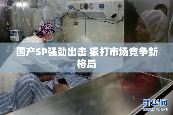 国产SP强劲出击 狠打市场竞争新格局