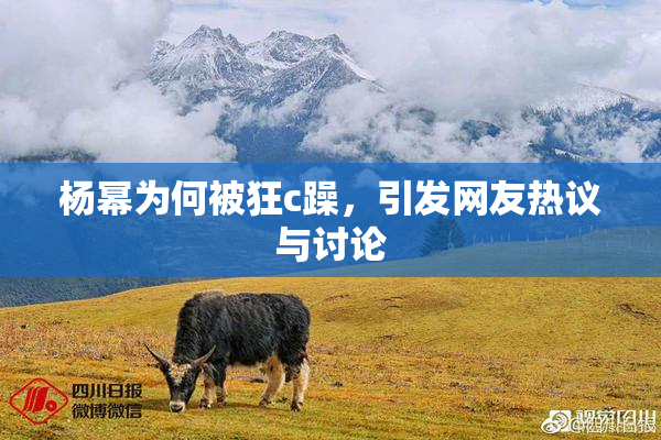 杨幂为何被狂c躁，引发网友热议与讨论