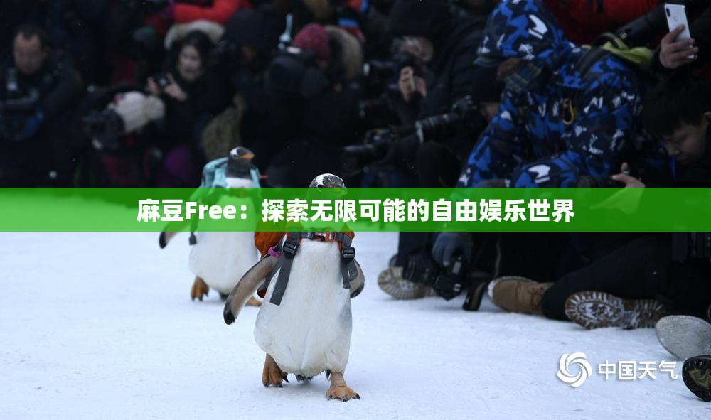麻豆Free：探索无限可能的自由娱乐世界