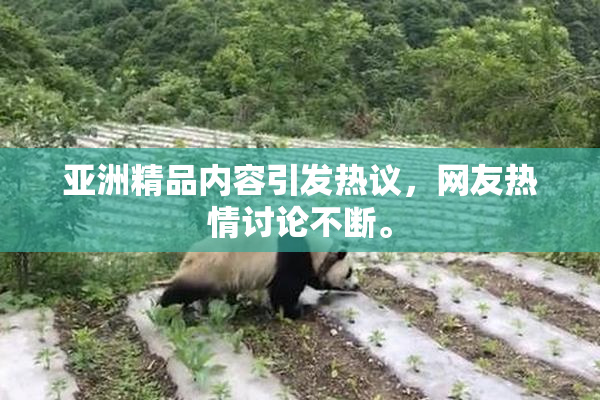 亚洲精品内容引发热议，网友热情讨论不断。