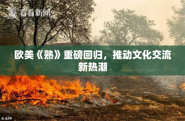 欧美《熟》重磅回归，推动文化交流新热潮