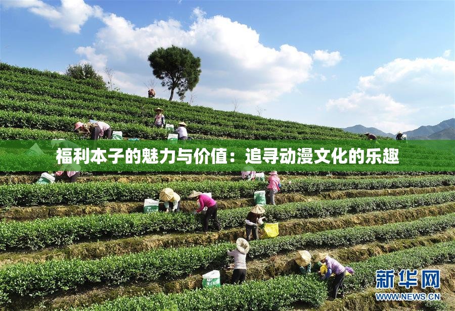 福利本子的魅力与价值：追寻动漫文化的乐趣
