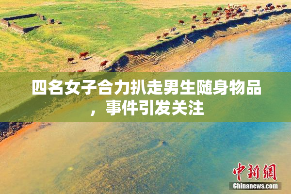 四名女子合力扒走男生随身物品，事件引发关注