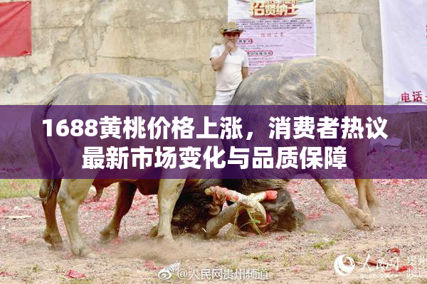 1688黄桃价格上涨，消费者热议最新市场变化与品质保障