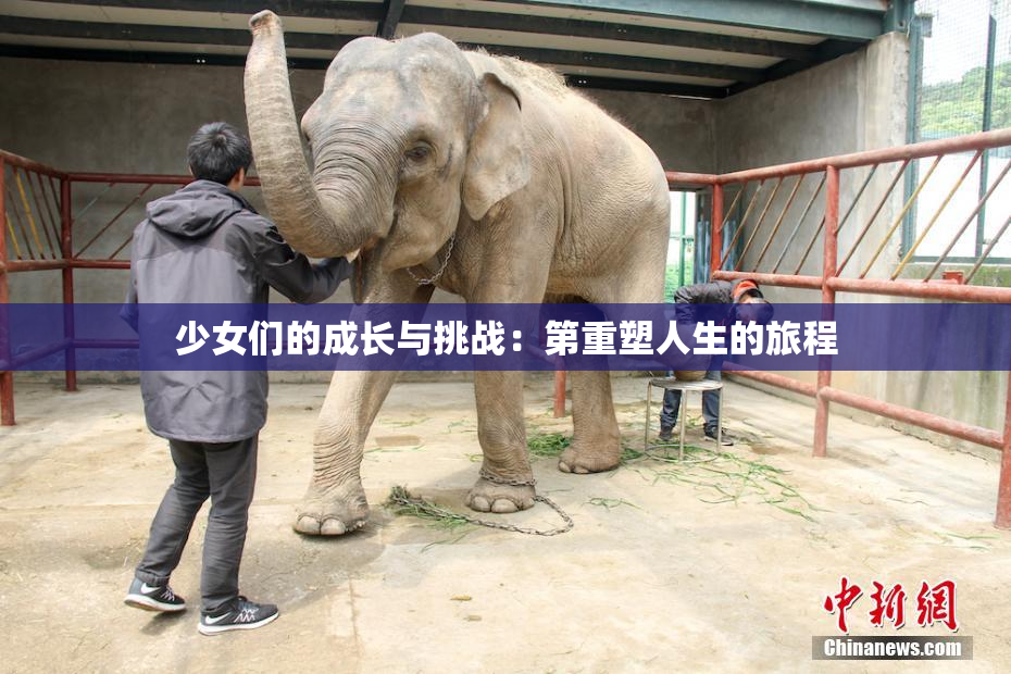 少女们的成长与挑战：第重塑人生的旅程