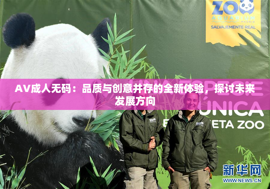 AV成人无码：品质与创意并存的全新体验，探讨未来发展方向