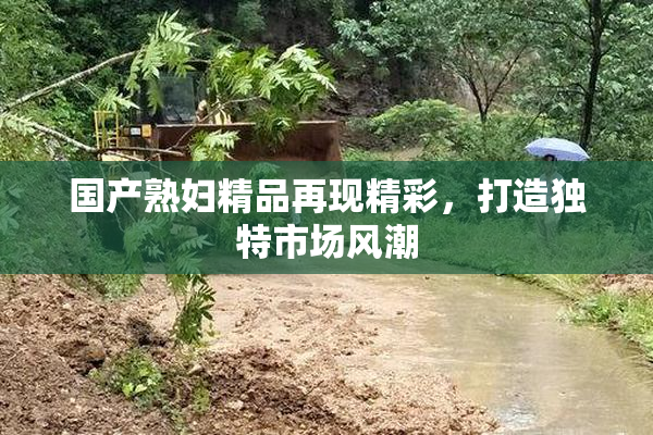 国产熟妇精品再现精彩，打造独特市场风潮