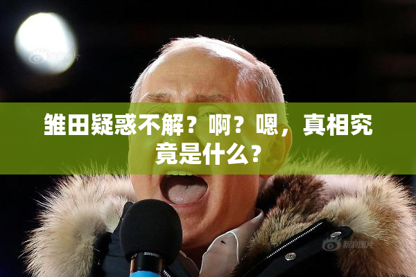 雏田疑惑不解？啊？嗯，真相究竟是什么？