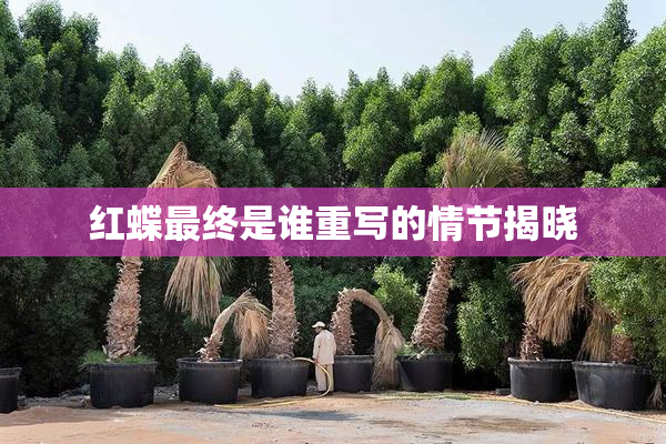 红蝶最终是谁重写的情节揭晓