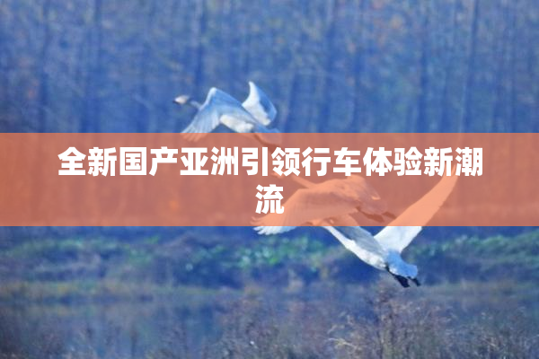 全新国产亚洲引领行车体验新潮流