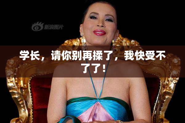 学长，请你别再揉了，我快受不了了！
