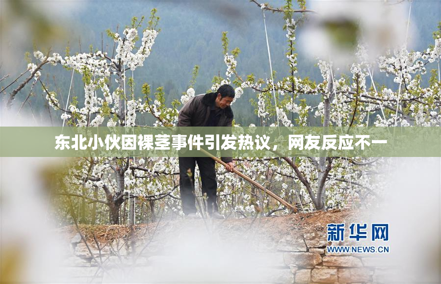东北小伙因裸茎事件引发热议，网友反应不一