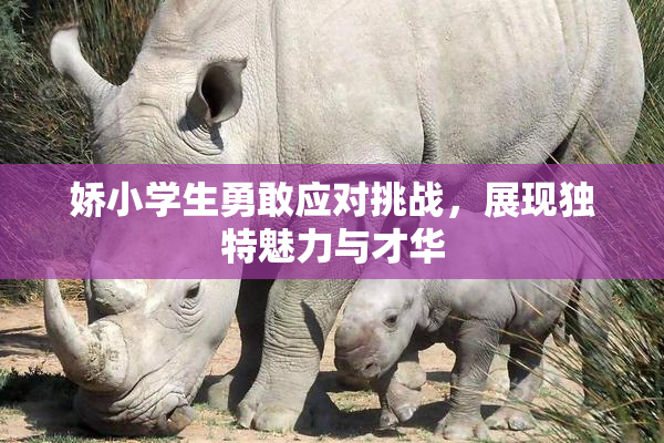 娇小学生勇敢应对挑战，展现独特魅力与才华