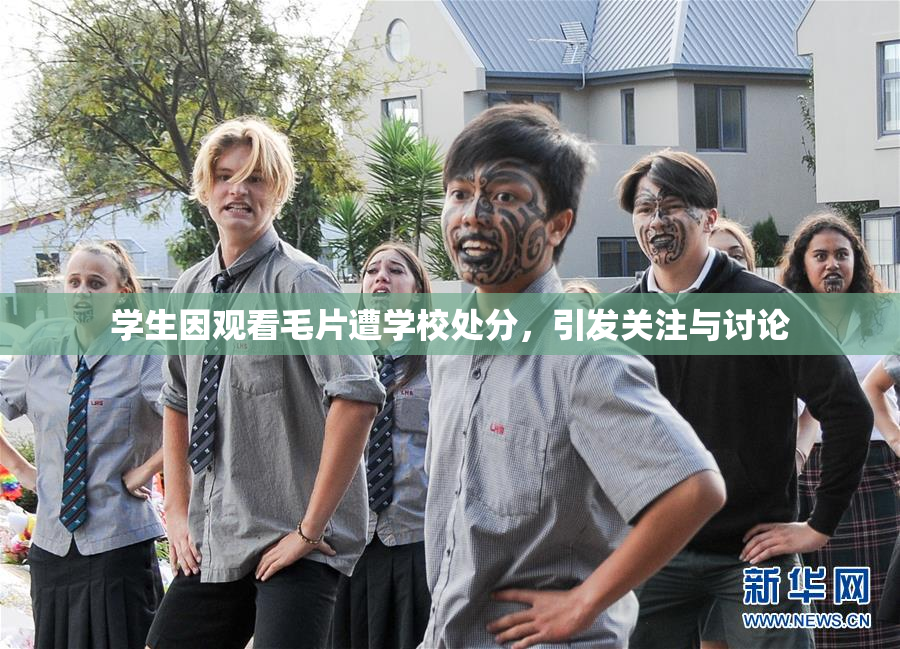 学生因观看毛片遭学校处分，引发关注与讨论