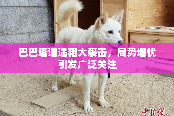 巴巴塔遭遇粗大袭击，局势堪忧引发广泛关注