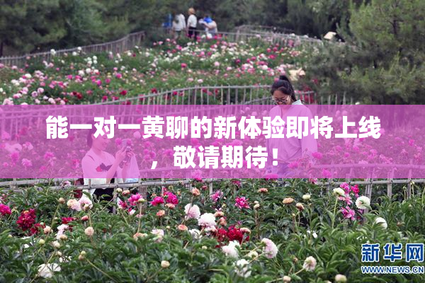 能一对一黄聊的新体验即将上线，敬请期待！