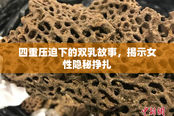四重压迫下的双乳故事，揭示女性隐秘挣扎