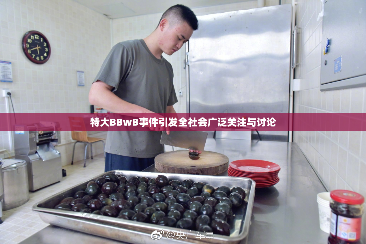 特大BBwB事件引发全社会广泛关注与讨论