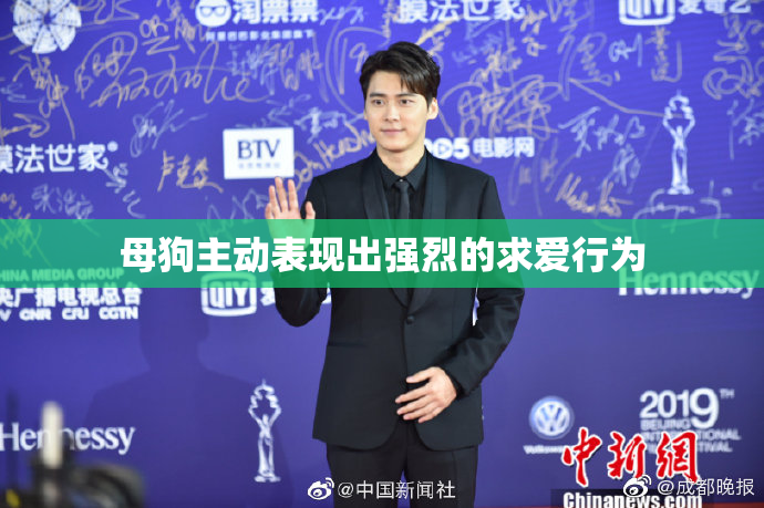 母狗主动表现出强烈的求爱行为