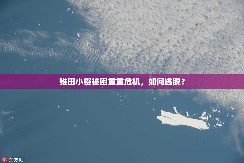 雏田小樱被困重重危机，如何逃脱？