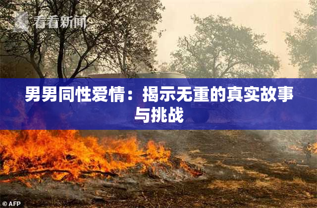 男男同性爱情：揭示无重的真实故事与挑战