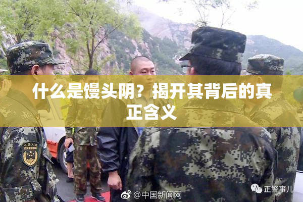 什么是馒头阴？揭开其背后的真正含义