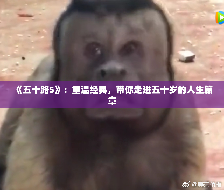 《五十路5》：重温经典，带你走进五十岁的人生篇章