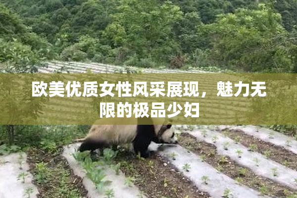 欧美优质女性风采展现，魅力无限的极品少妇