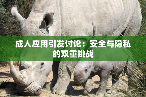 成人应用引发讨论：安全与隐私的双重挑战