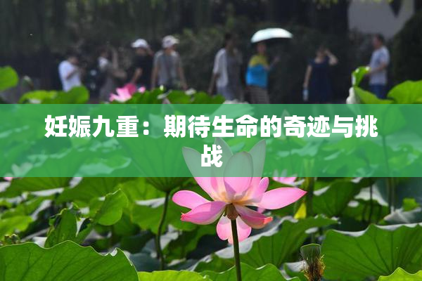 妊娠九重：期待生命的奇迹与挑战