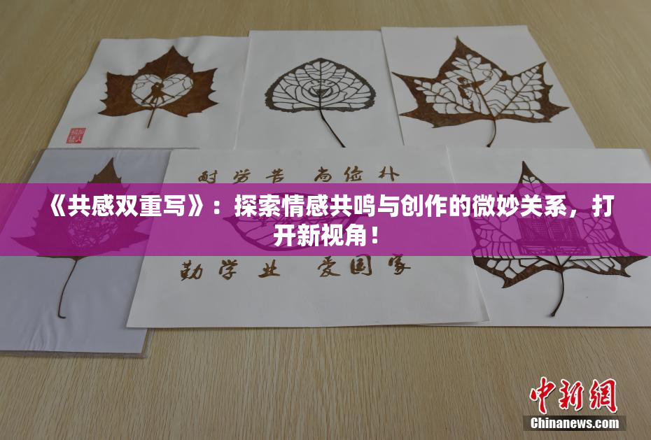 《共感双重写》：探索情感共鸣与创作的微妙关系，打开新视角！