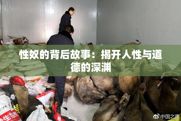 性奴的背后故事：揭开人性与道德的深渊