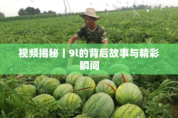 视频揭秘丨9l的背后故事与精彩瞬间