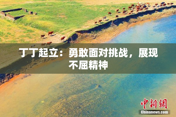 丁丁起立：勇敢面对挑战，展现不屈精神