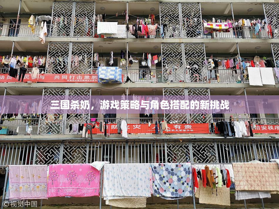 三国杀奶，游戏策略与角色搭配的新挑战